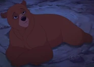 Nita (Bear) as Mama Sharptooth
