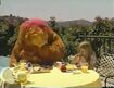 Bear eats breakfast with Mackenzie