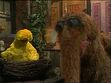 Big Bird napping in episode 2804