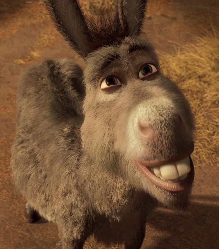 donkey and shrek