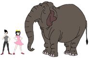 Riley and Elycia meets Sri Lankan Elephant