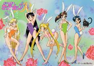 The Sailor Scouts in bunny suits