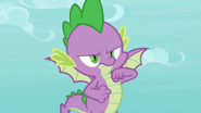 Winged spike as ed