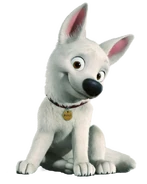 Bolt As The Foreign-Lauguage Bear