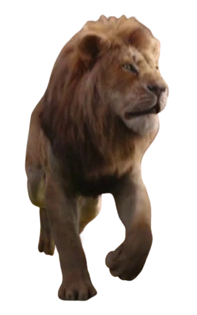 The Secret Life of Zoo Animals (Simba and Zed Style) | The Parody