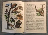 A Golden Exploring Earth Book of Animals (5)