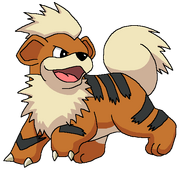 Growlithe rosemaryhillspokemonadventures