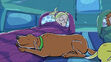 Skits sleeping on Alice Boxwood