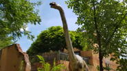 Columbus Zoo Brachiosaurus