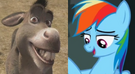 Donkey and Rainbow Dash