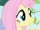 Fluttershy