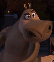 Gloria in Madagascar