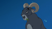 Bighorn sheep (Tom and jerry) as Friar Tuck