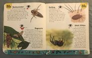 Bug Dictionary (2)