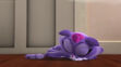 Hissy was sleeping on the floor