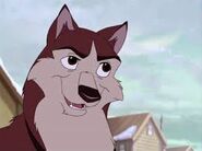 Kodi (Balto)