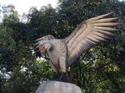Teratornis merriami.jpg