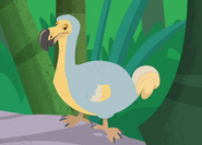 Dodo Bird