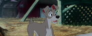 Lady-tramp-disneyscreencaps.com-6142