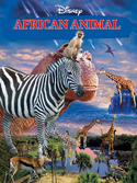 NR1 African Animal 2000 Poster