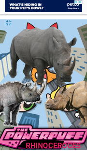 PPRHNOCRSES1998 Poster.png