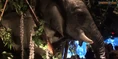 Rainforest Café Elephant.png (2.28 MB)