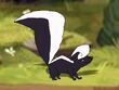 Rileys Adventures Striped Skunk