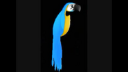 Safari Island Parrot