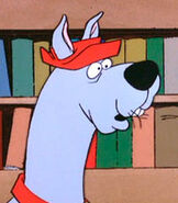 Scooby Dum in The Scooby Doo Show