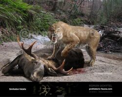 Smilodon-fatalis-2015-738x591.jpg