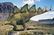 Stegosaurus stenops.jpg