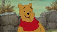 Pooh as Wildcat