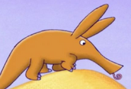 Aardvark