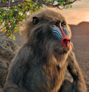 Rafiki (2019)