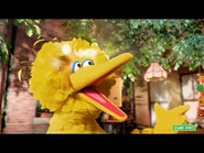 Sesame Street Sunny Days (Season 46 Theme Instrumental)