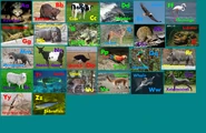 Animal Alphabet 5.png (2.54 MB)