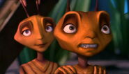 Antz-disneyscreencaps.com-6313