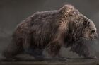 Cave Bear