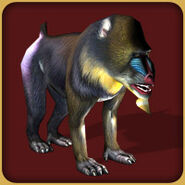 Mandrill