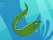 Rileys Adventures Green Moray