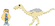 Struthiomimus (Struthiomimus althrus)