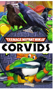 TMNCORVDS1987 Poster.png