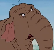 Winifred as the Wardrobe