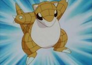 Sandshrew as Himself