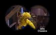Birdwatcher Madeline spots Big Bird asleep in his nest with her monoculars