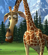 Melman,