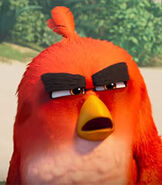Red in The Angry Birds Movie 2 (2019)