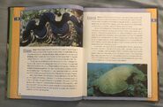Scholastic Encyclopedia Of Animals (11)