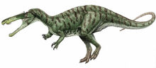 Suchomimus1C.jpg