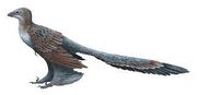 Changyuraptor.jpg